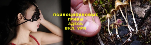 мяу мяу кристалл Алексин