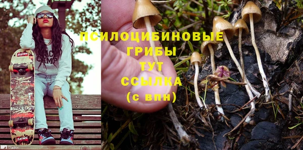бутират Алексеевка